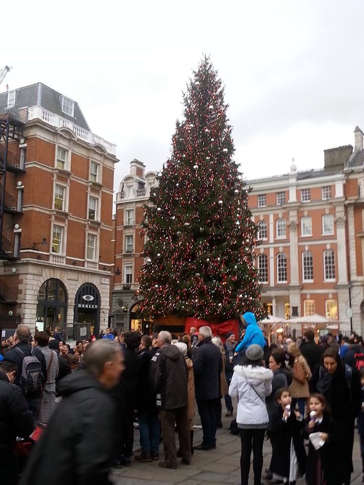 12391404_10208127104120816_1741191061834227705_n