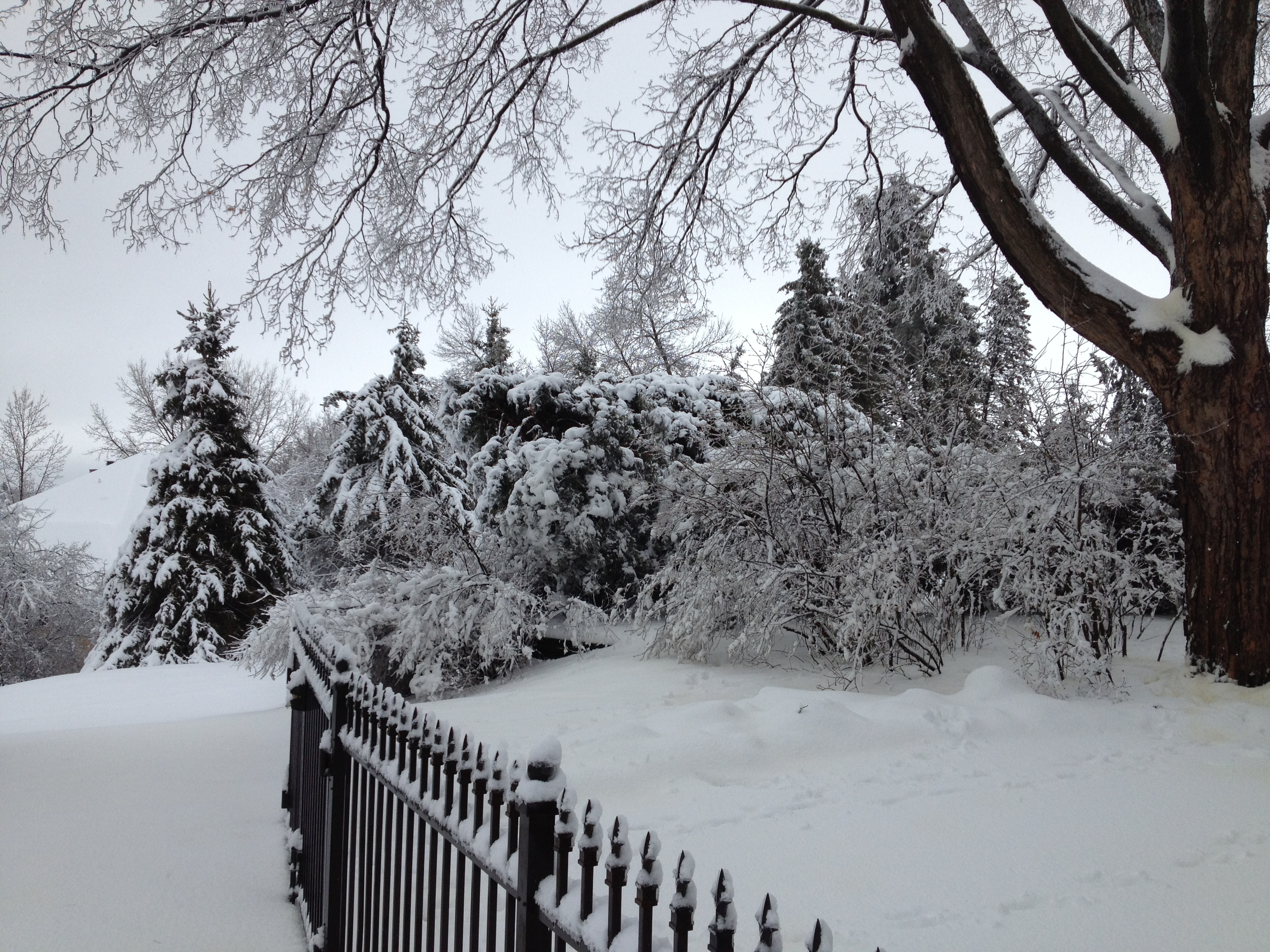 footprints_in_the_snow_in_minnesota