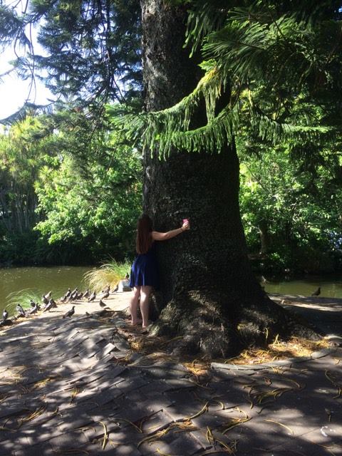 15996217_10211603035136919_1868470194_n