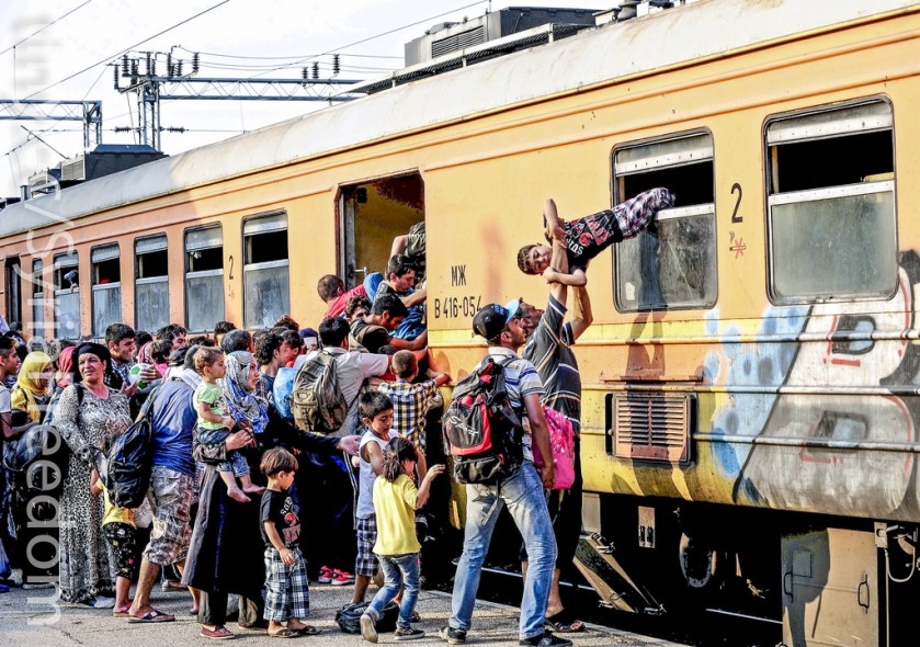 21076290500_4ebb2cc8e4_b