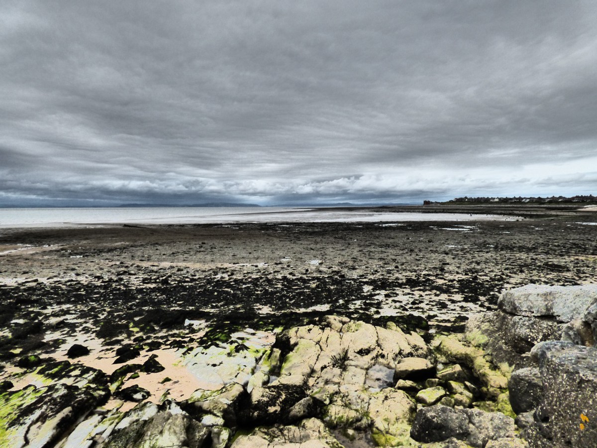 The healing power of&nbsp;nature.