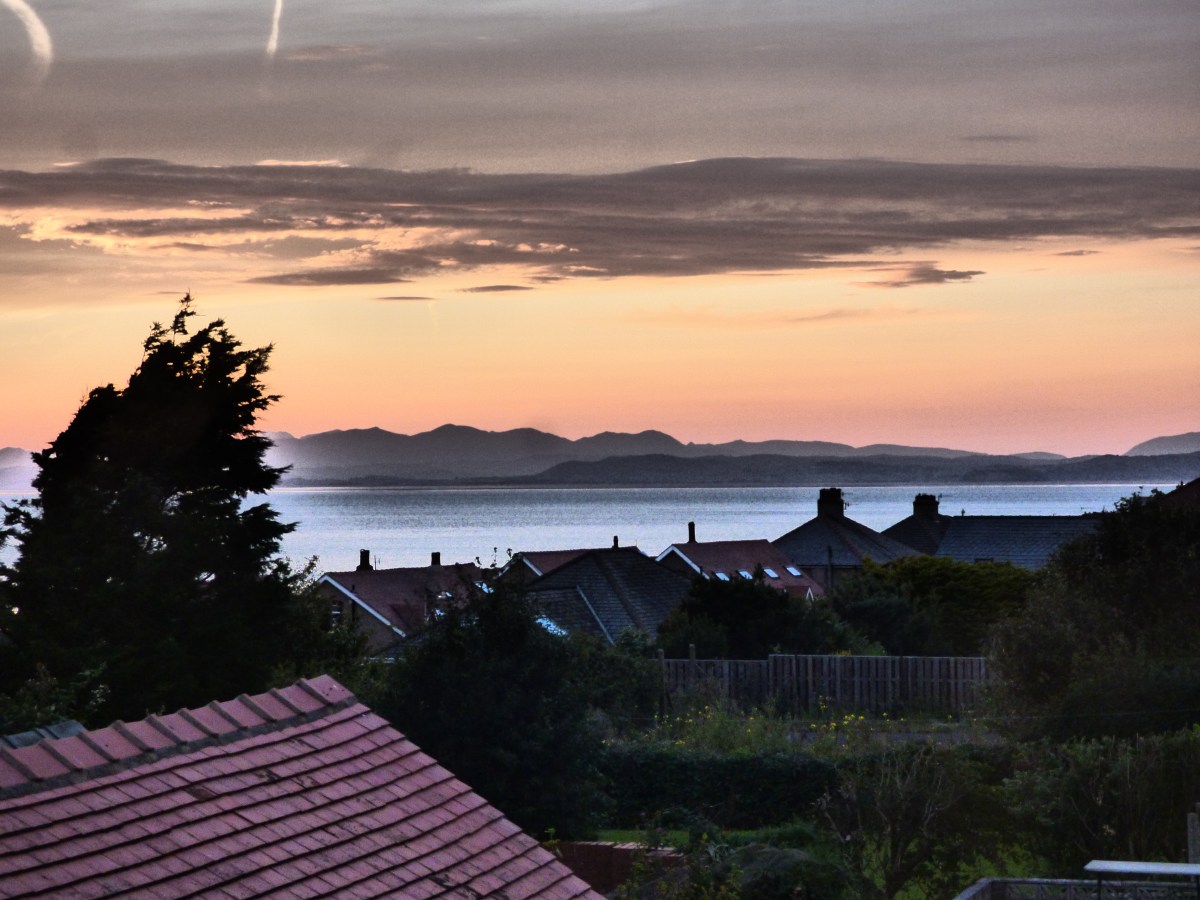 Looking beyond the madness…..