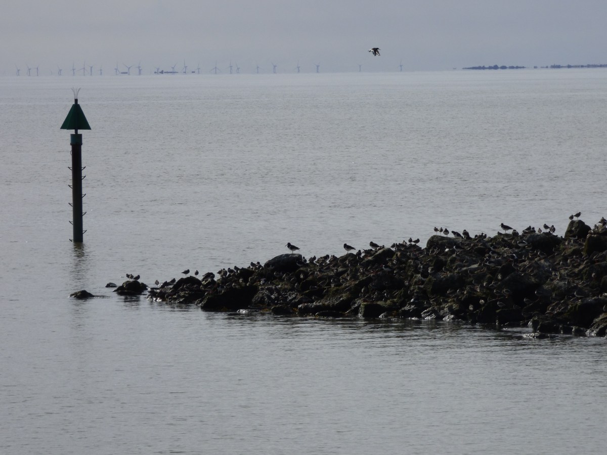 Dreams lie lost amid the&nbsp;sands…