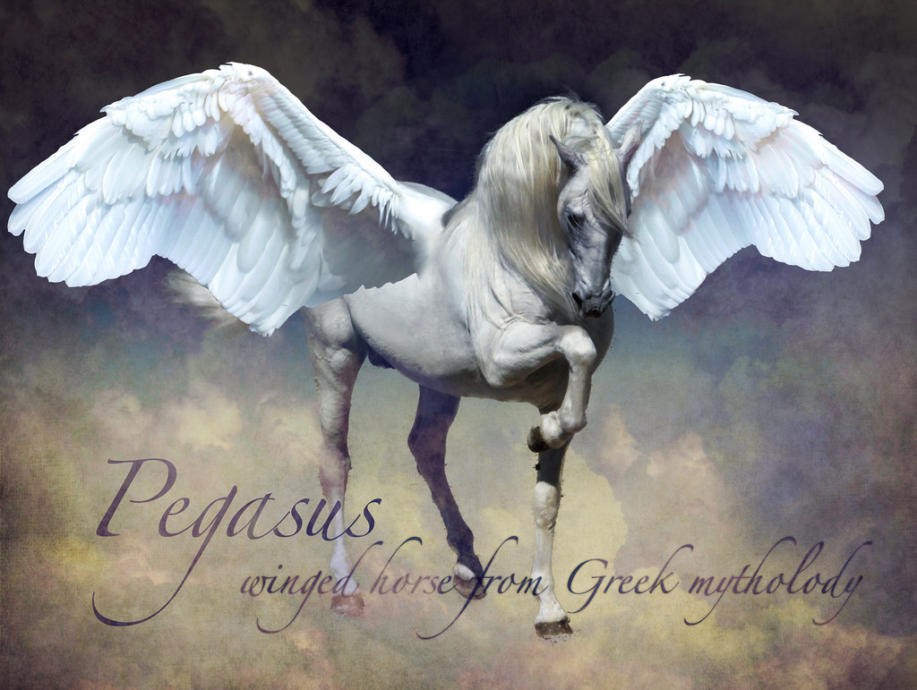 Andromeda-She had eyes the colour of periwinkle&nbsp;blue.