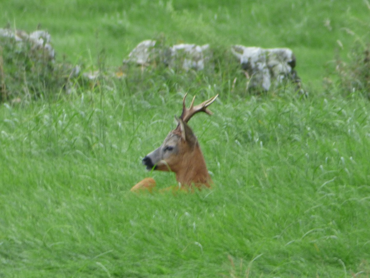 September Sundown at Dallam&nbsp;Park