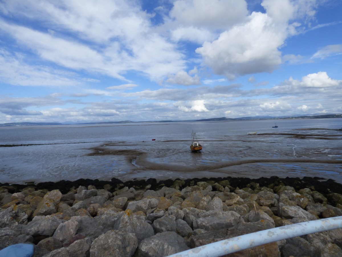 Best of the bay&nbsp;today…