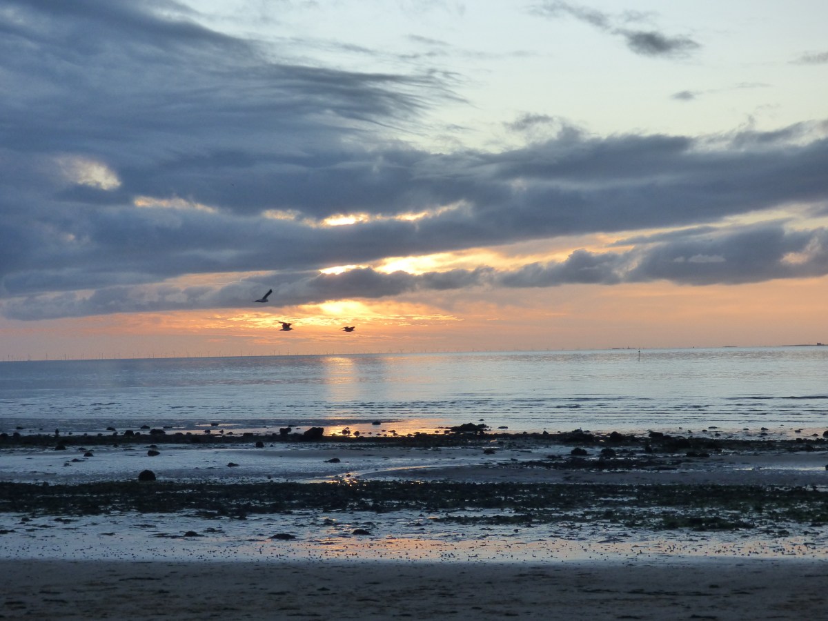 Beyond the horizon…