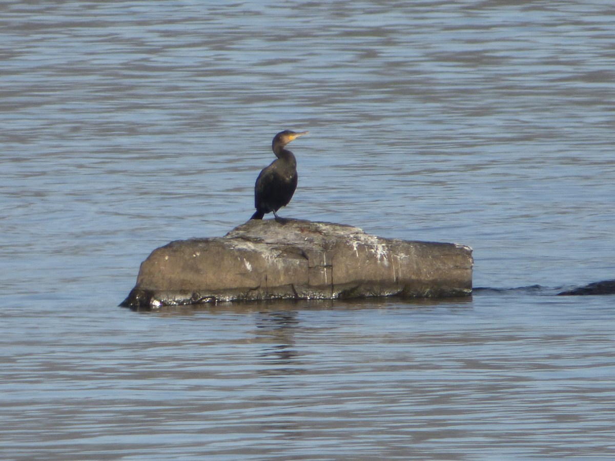 Leave no stone&nbsp;unturned.