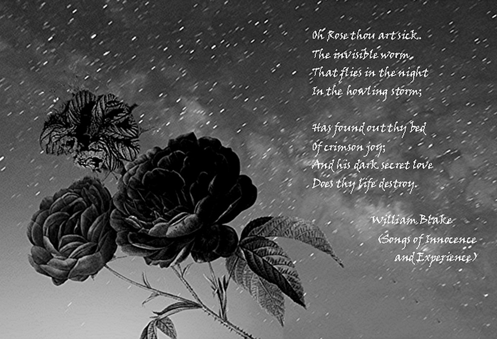 The Invisible Worm…