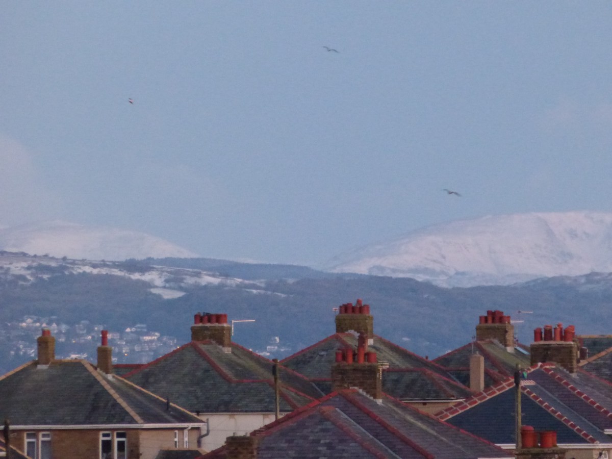 December 8th- Happy birthday&nbsp;mum.