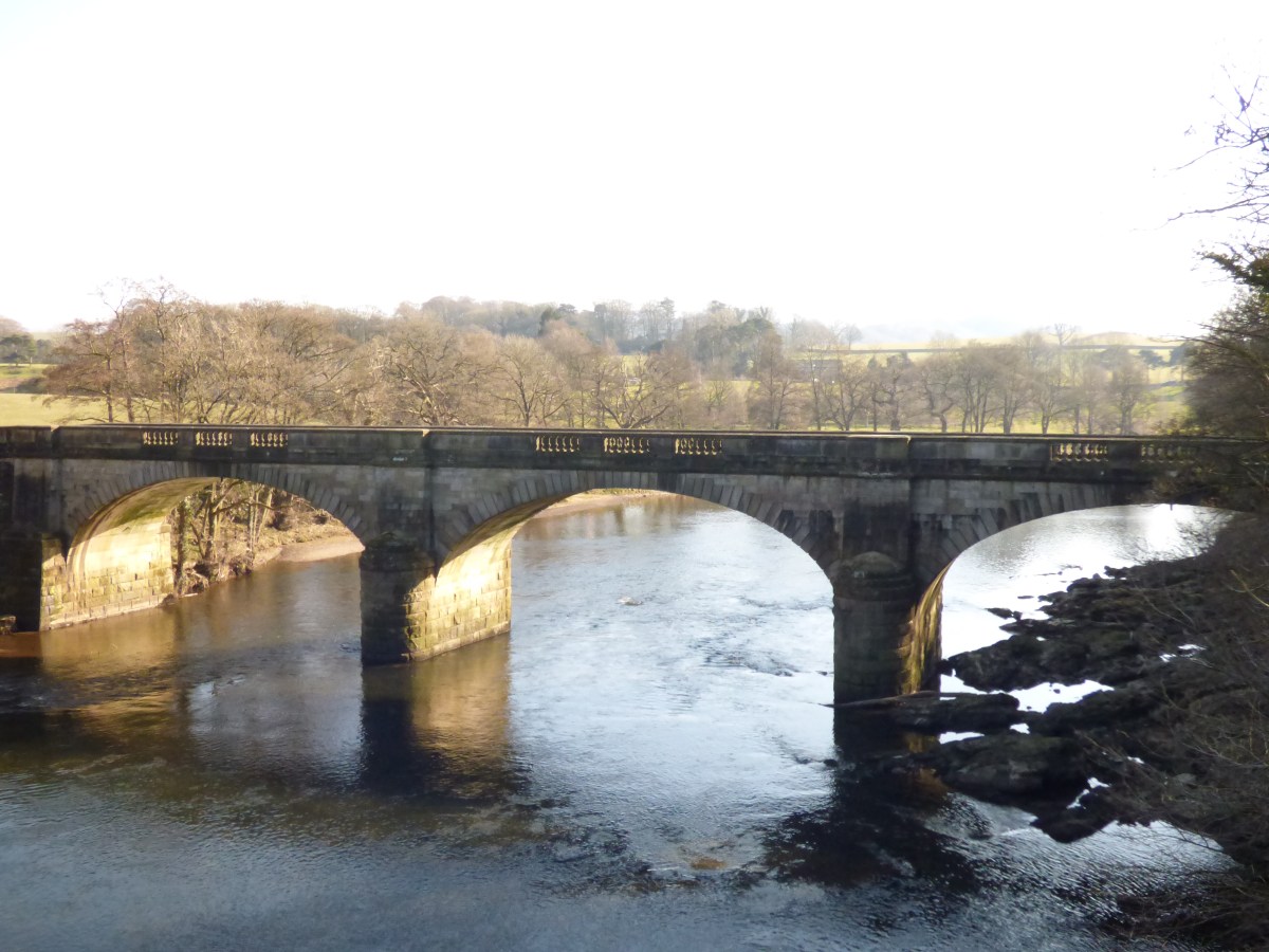 My own flock of&nbsp;birds…