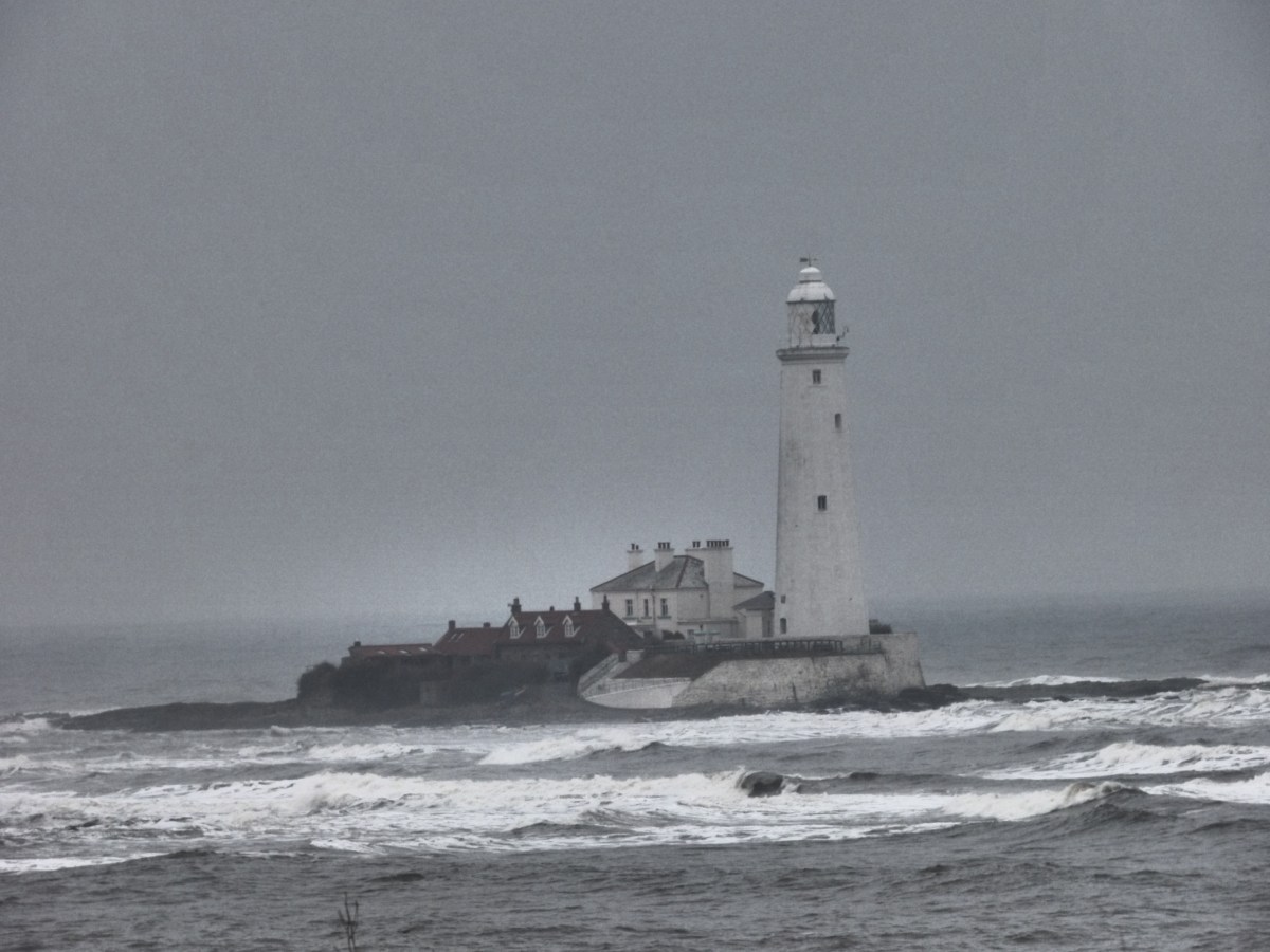 The Poem speaks…..