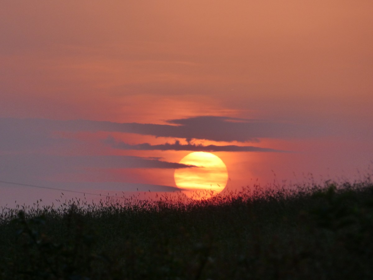 A stitch in&nbsp;time…