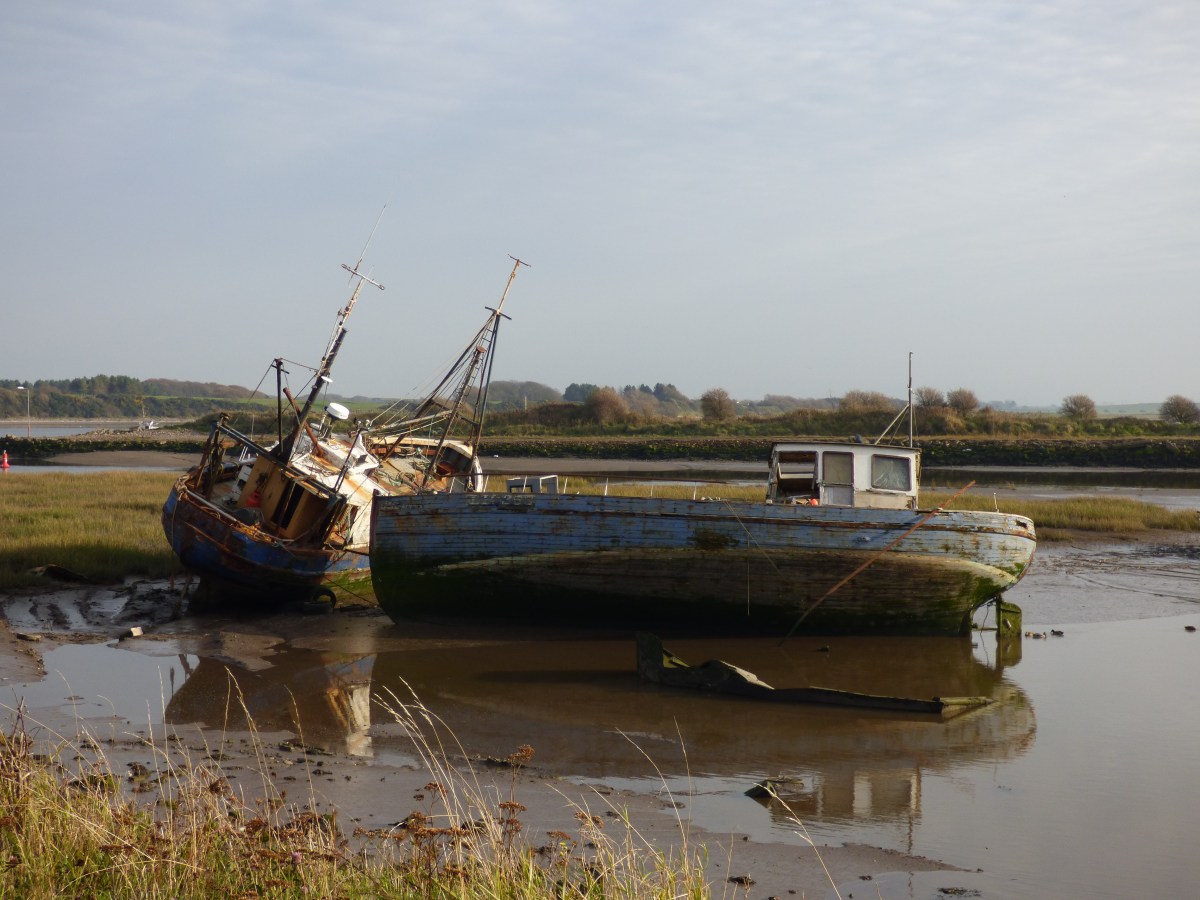 Weathering the storm.