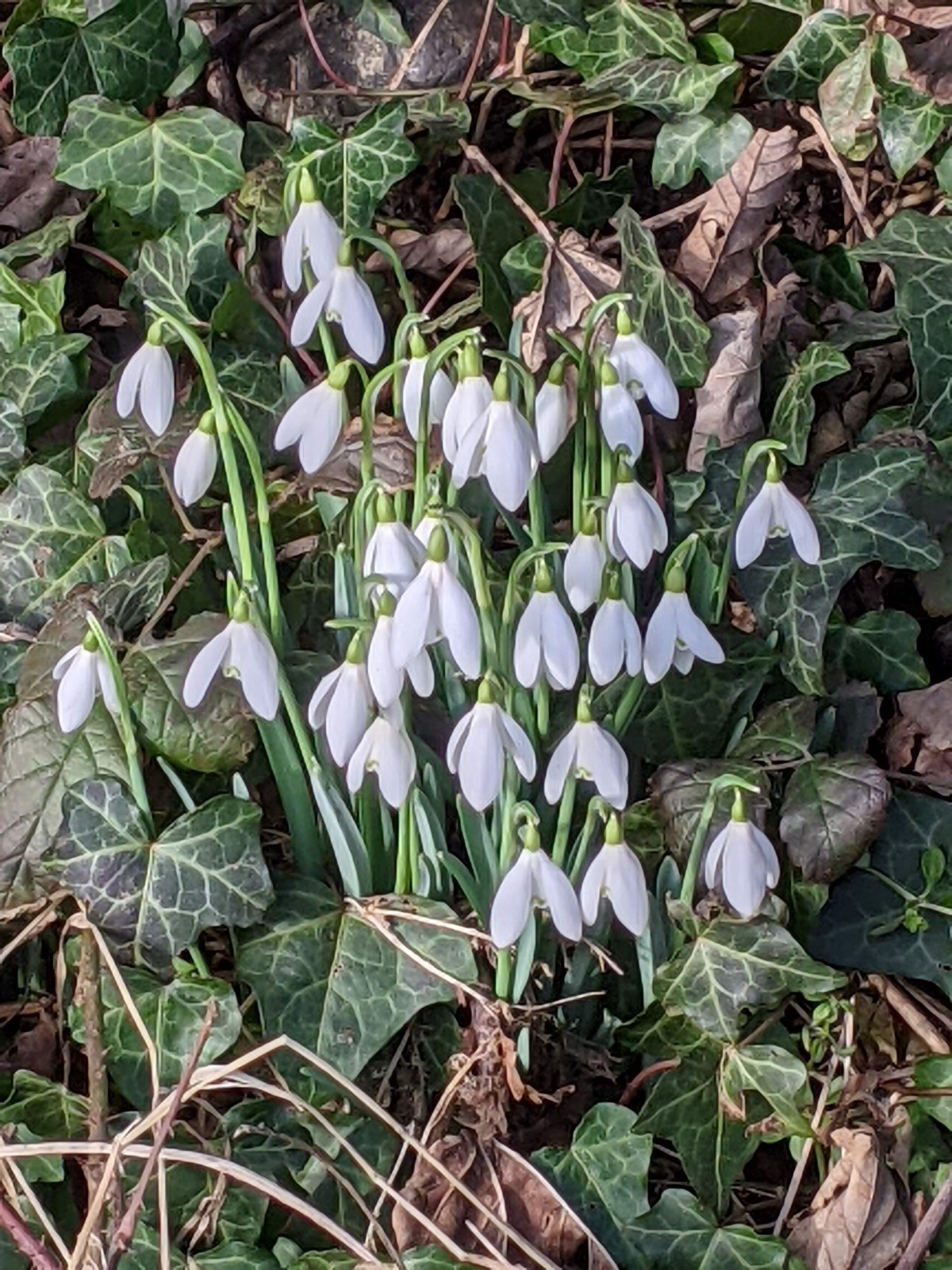 That which drives&nbsp;us